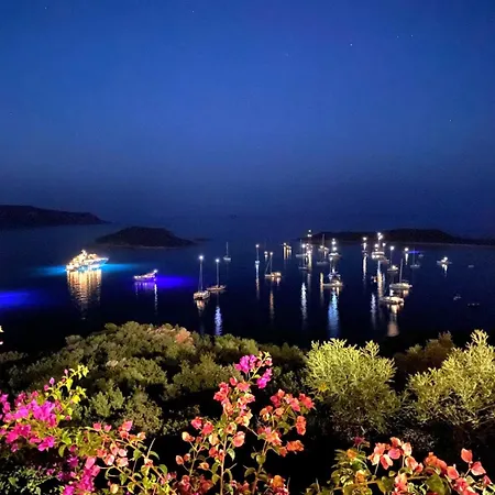 Punta Est Spazioso Monolocale Vista Mare アパート カーポ・コーダ・カヴァッロ