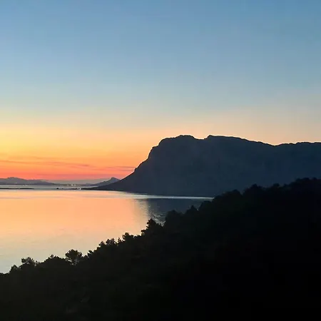Apartamento Punta Est Spazioso Monolocale Vista Mare Capo Coda Cavallo